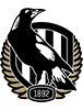 Collingwood Football Club